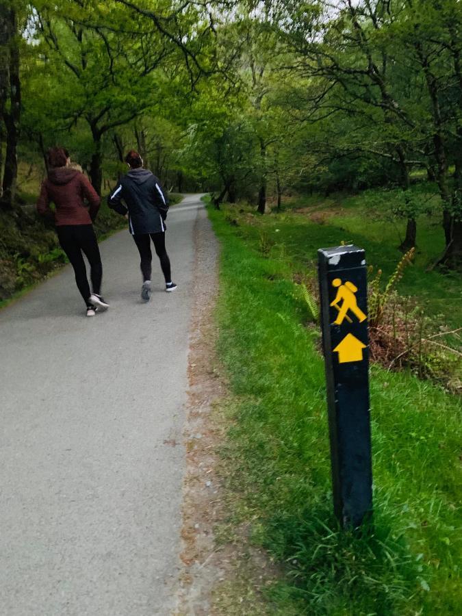 Wicklow Way Lodge 外观 照片
